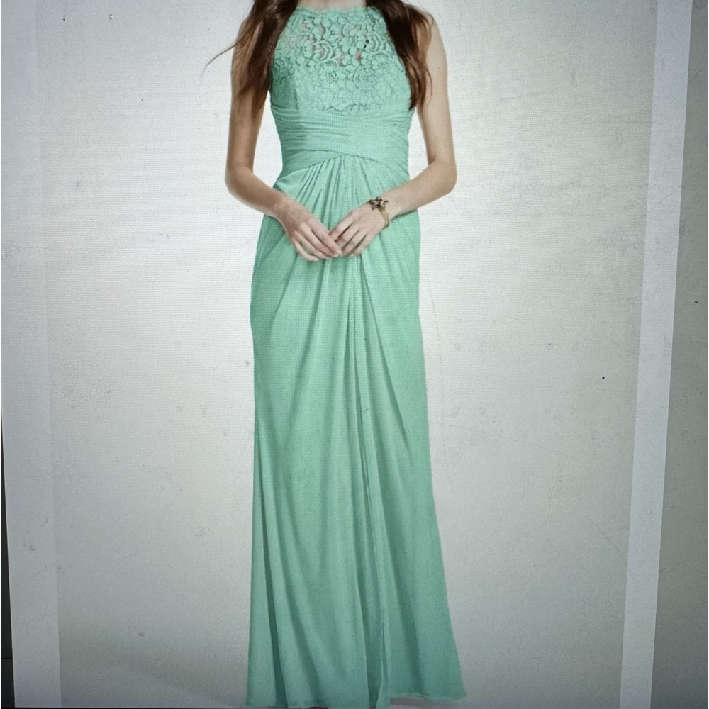 David’s Bridal Sleeveless Long Mesh Dress With Corded Lace Style F15749